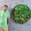 تابلو خزه ای